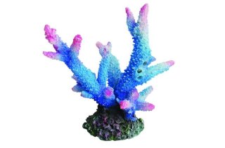 レプリカサンゴ - ゼンスイ株式会社 部品販売