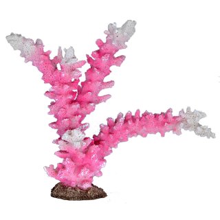 レプリカサンゴ - ゼンスイ株式会社 部品販売
