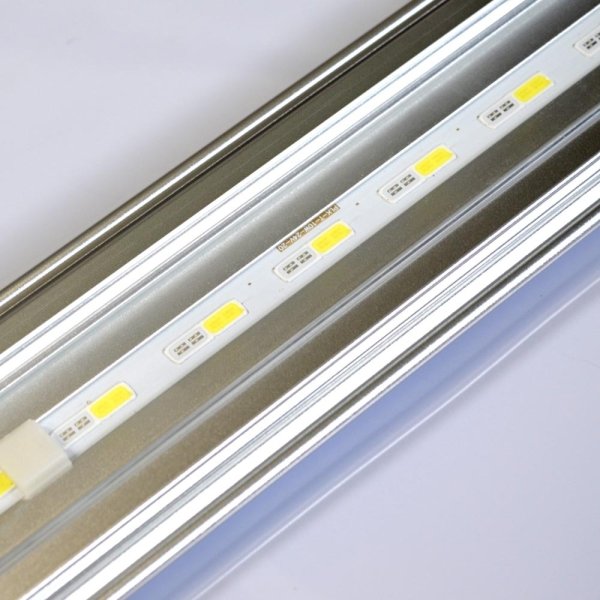 画像3: 【アウトレット品】LED PLUS 150cm シャイニングブルー【送料無料】 (3)