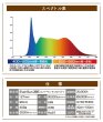 画像7: プラエリア Eversun365ラックセット【送料無料】｜植物育成LEDライト付き 室内用フルセット (7)