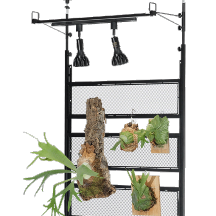 植物育成用に最適